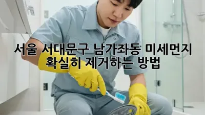 서울 서대문구 남가좌동 미세먼지, 확실히 제거하는 방법!