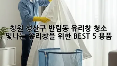 창원 성산구 반림동 유리창 청소: 빛나는 유리창을 위한 BEST 5 용품