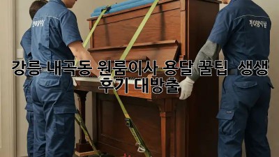 강릉 내곡동 원룸이사 용달 꿀팁🍯 & 생생 후기 대방출!
